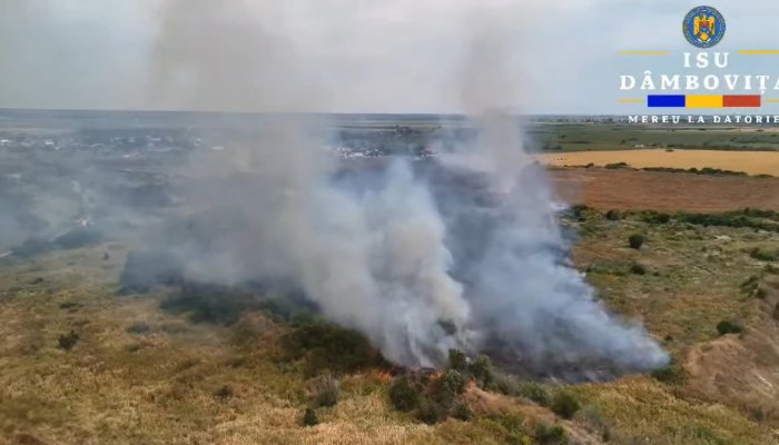 Incendiile de vegetație 