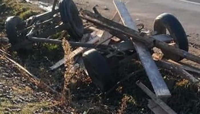 accident căruță filipeștii de târg