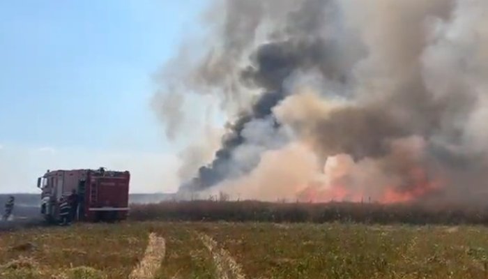 incendiu colceag 21 iulie