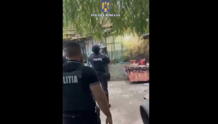 înșelăciune