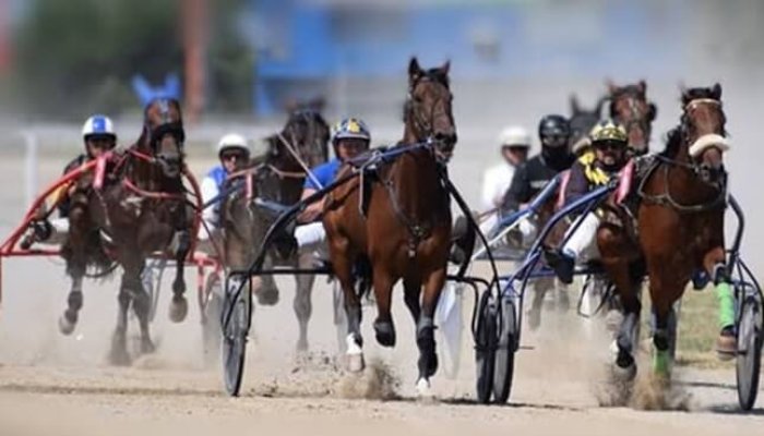 hipodromul ploiești curse trap program 3 august