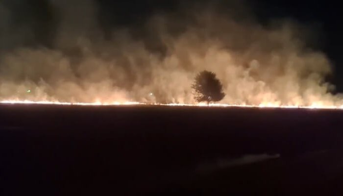 incendiu valea 