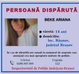 Incendiu uriaș, azi-noapte, la o hală cu depozite din Complexul „Dragonul Roșu”. Întreaga construcție a fost distrusă