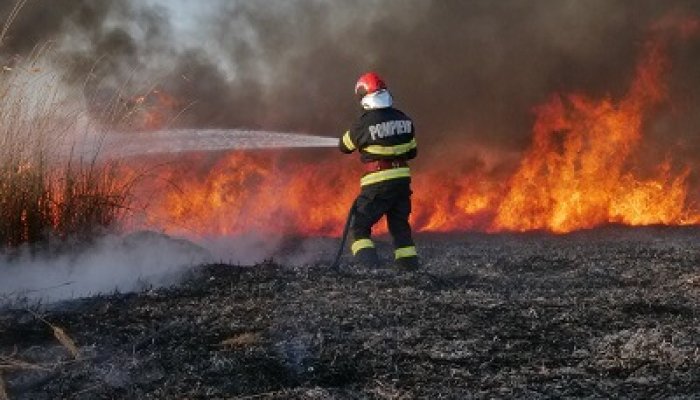 incendiu vegetație uscată