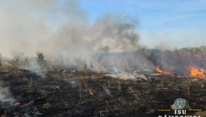 Incendii vegetație uscată