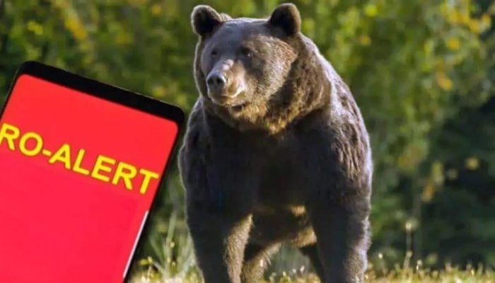ro-alert urs