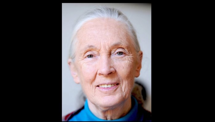 Jane Goodall
