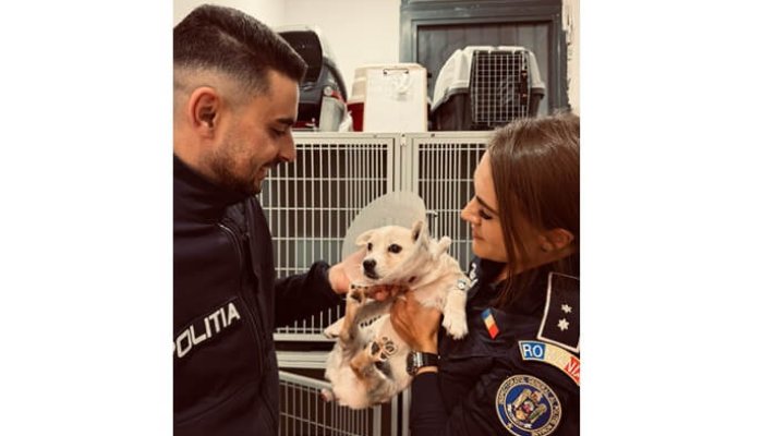 polițist cățel salvat