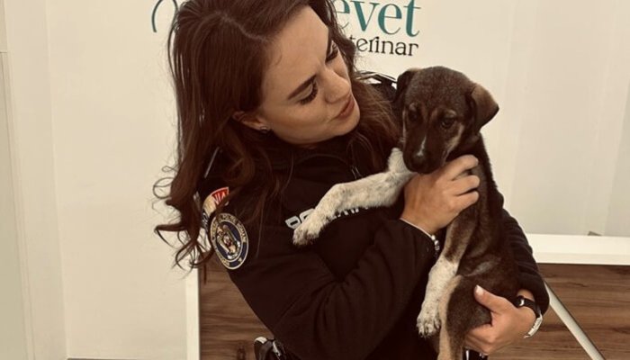 intervenție protecția animalelor