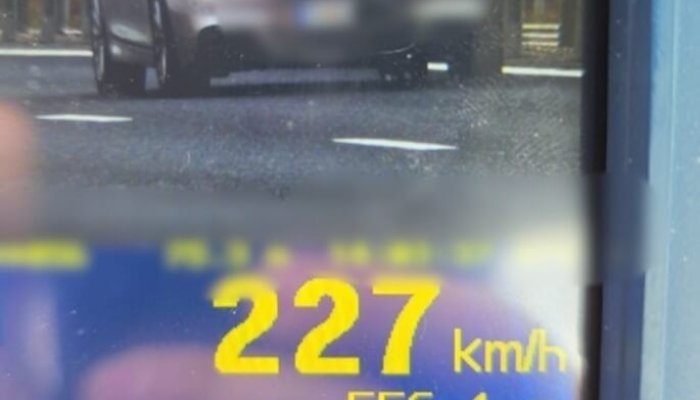 tânăr vitezoman pucheni