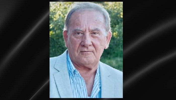 mircea labă
