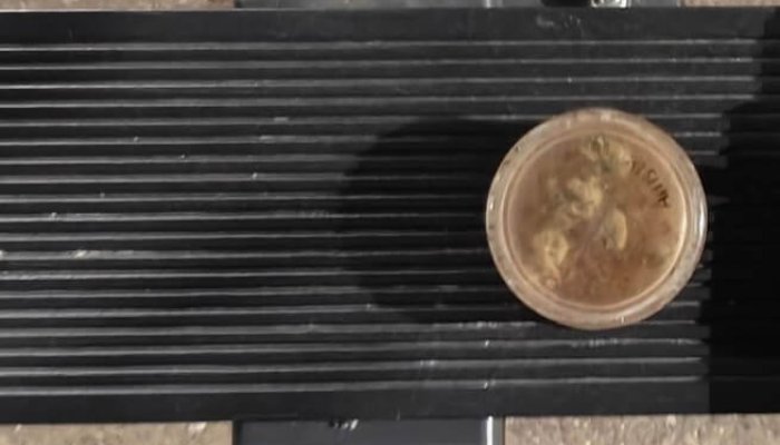 consum droguri elevi