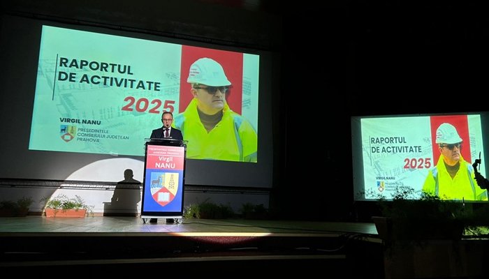 virgiliu nanu raport activitate