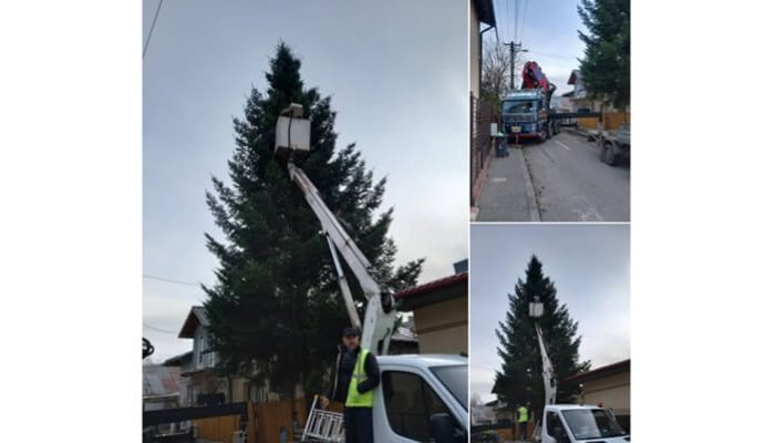 târgul de crăciun brazi ploiești