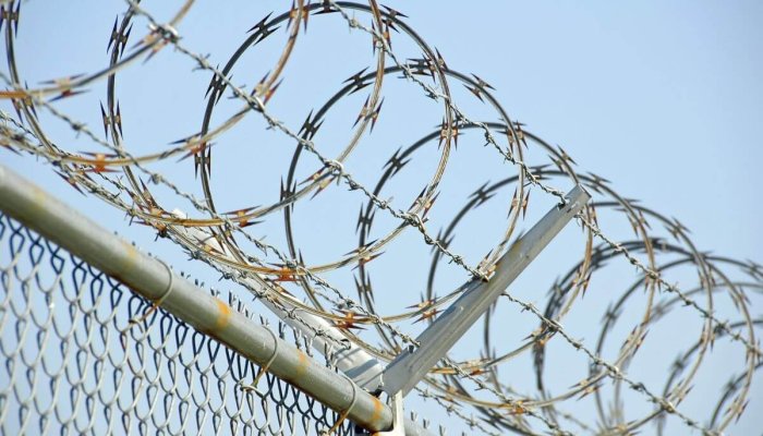 georgian periculos evadat 