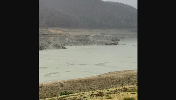 sedinta operativa paltinu