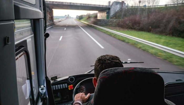 șofer român Germania