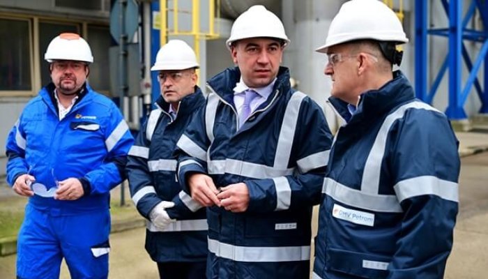 criză paltinu brazi