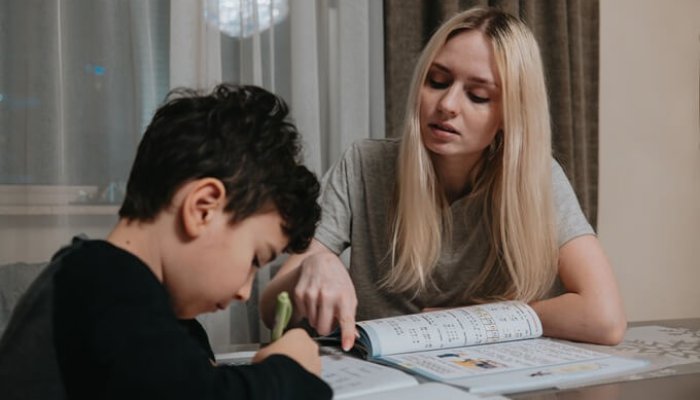 temele pentru acasă ordin ministrul educației