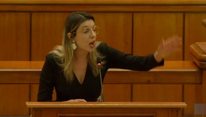 ministrul mediului diana buzoianu parlament