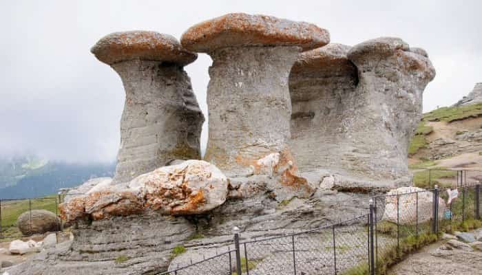 proces babele și sfinxul
