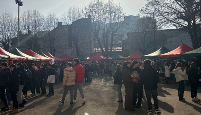 târgul de crăciun caragiale