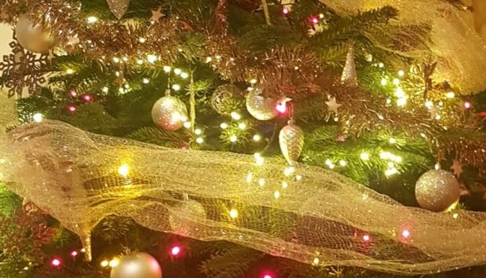 recomandări brad decoratiuni crăciun