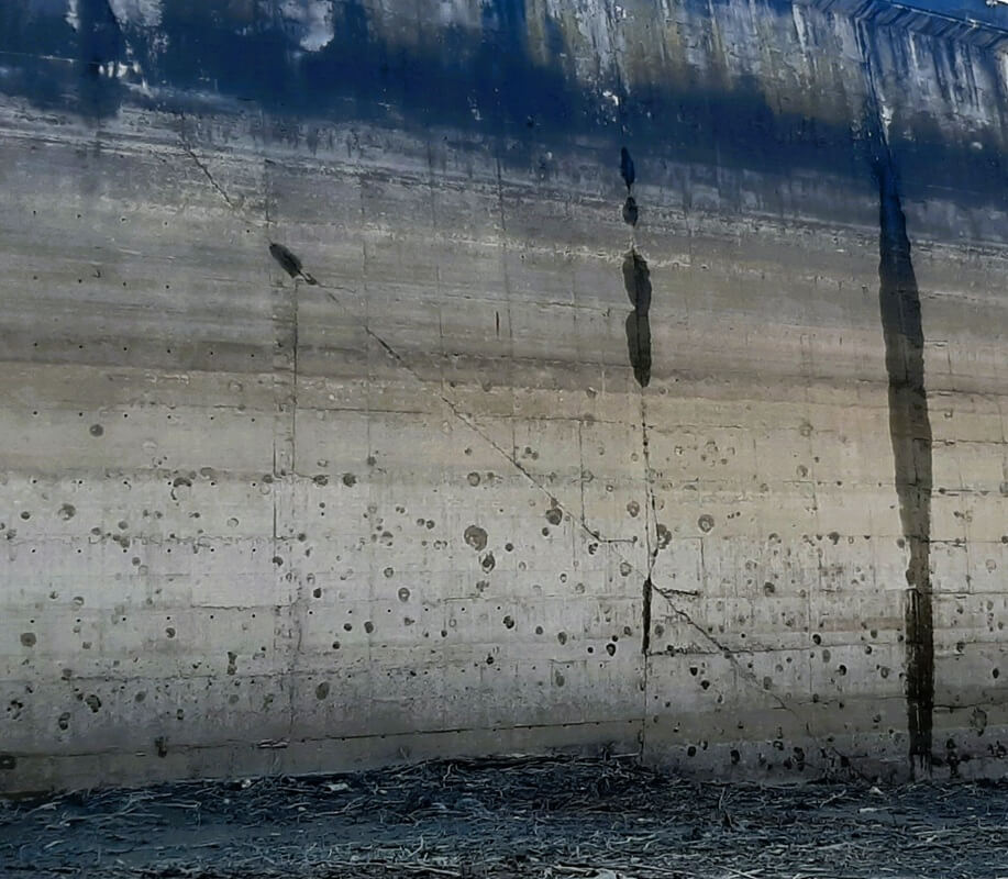 fisuri paltinu apele române