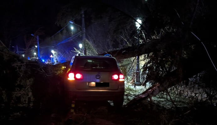 copaci cazuți sinaia vânt