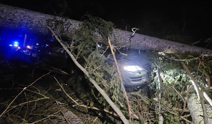 copaci cazuți sinaia vânt