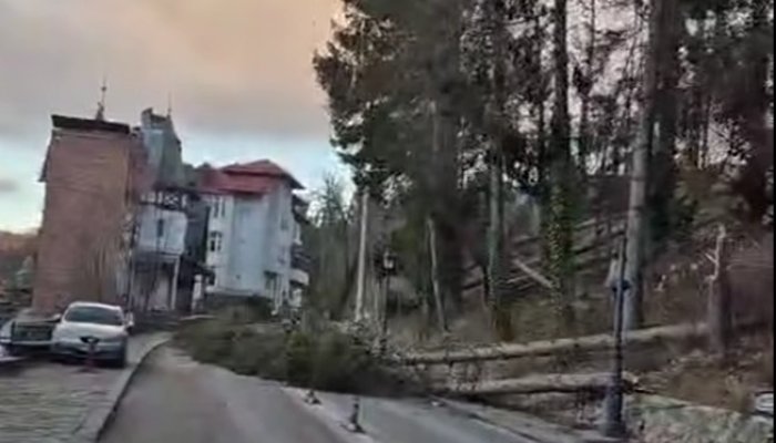 alertă vânt sinaia