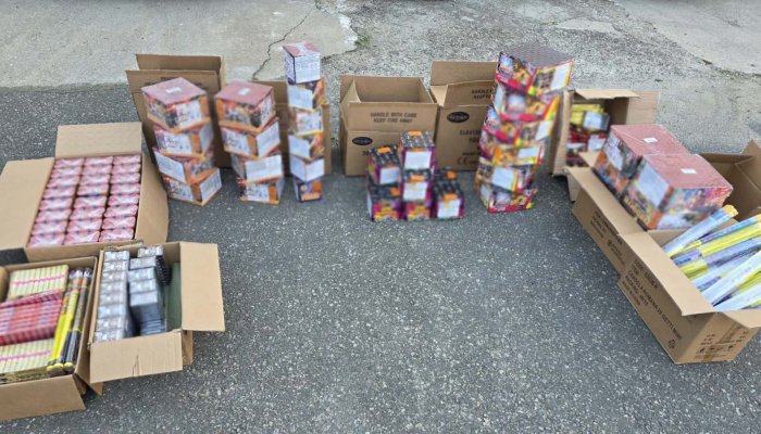 Petarde și artificii 