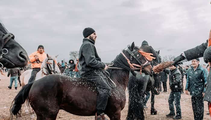 botezul cailor tradiție bobotează pietroșani