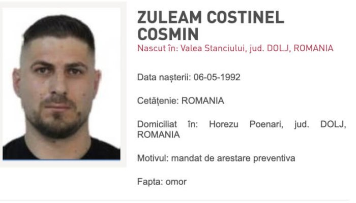 Cosmin Zuleam