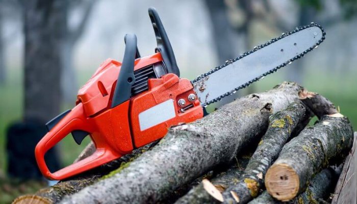 tăiere și furt de arbori