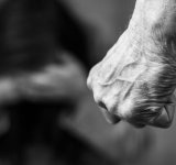 Târgoviște. Cinci persoane rănite într-un accident rutier 