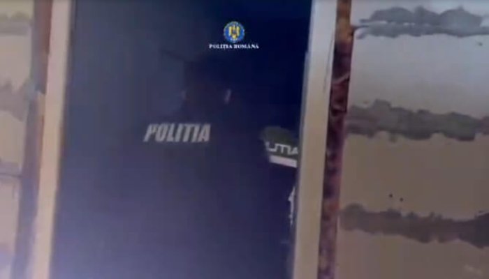 percheziții furturi bucov