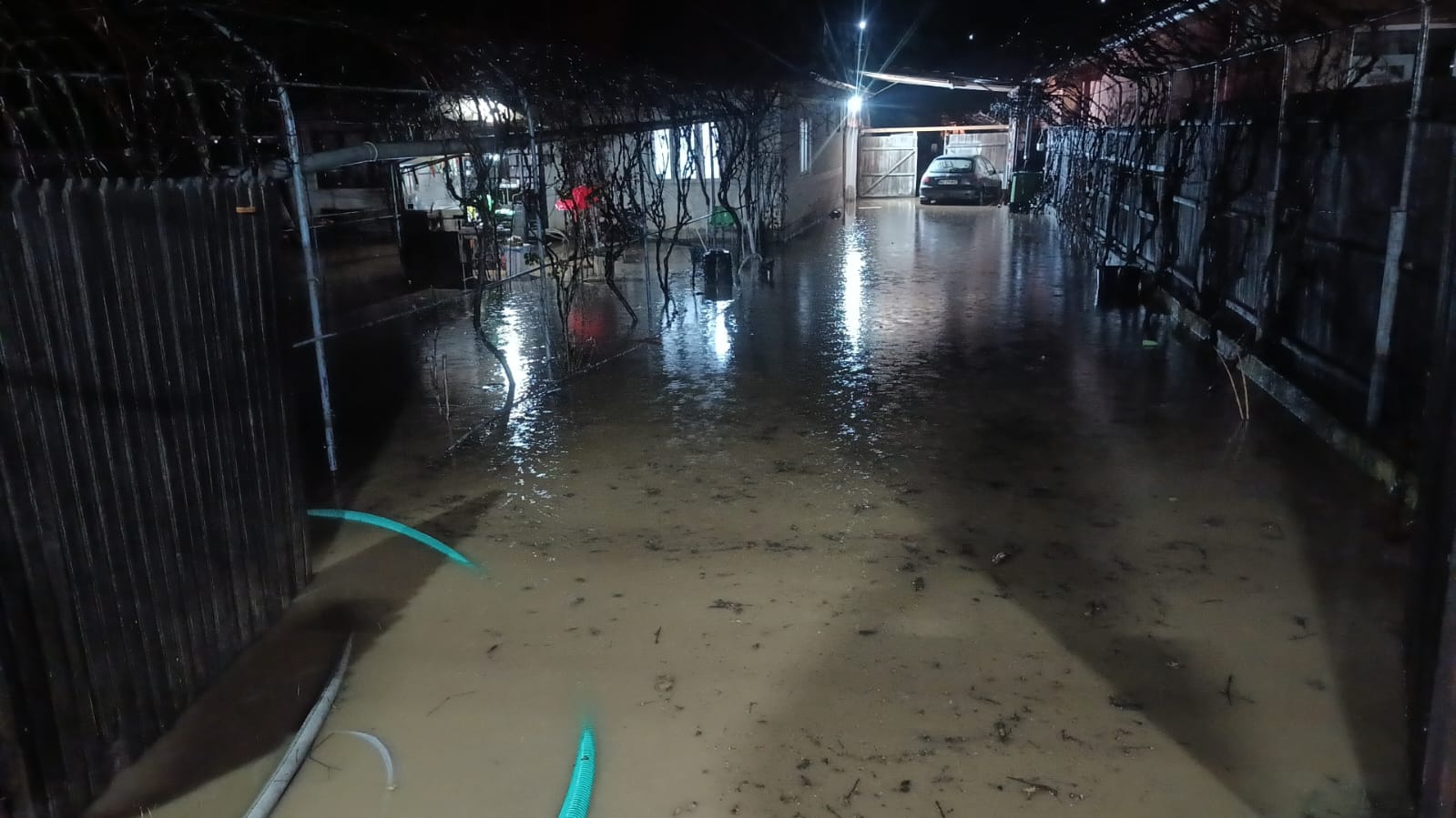 inundații alertă buzău