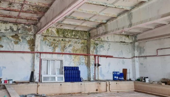 mihai polițeanu bazin înot vega