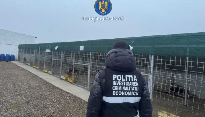 Adăpostul privat de câini din localitatea vrânceană Suraia, închis de urgență