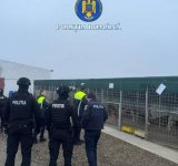 Urmărire terminată cu accident, luni dimineață, în Dâmbovița. Șoferul a intrat cu mașina într-un buldoexacavator și a lovit un pieton