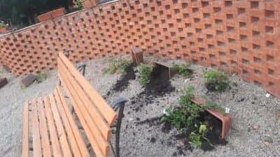 FOTO Noi acte de vandalism, în Ploiești. Jardinierele din parcul de la Sala Sporturilor au fost distruse