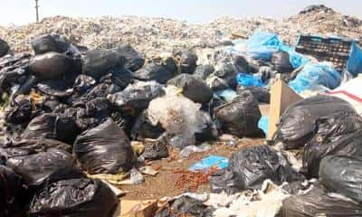 FOTO Garda de Mediu cere suspendarea activității unei firme din Ariceștii Rahtivani. Probleme la depozitarea deșeurilor periculoase