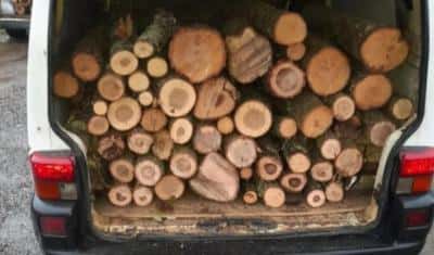 Prahovean sancționat, în Buzău, pentru transport ilegal de lemne