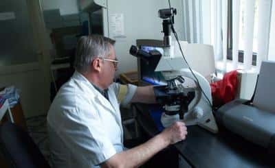 Examenul trichineloscopic va putea fi efectuat în aproape 50 de centre din Prahova, la prețuri între 26 și 50 de lei