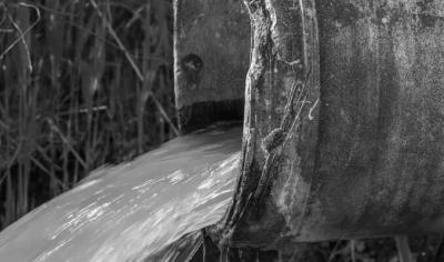 Amendă de peste 10.000 de euro, de la Garda de Mediu, pentru o societate din Sinaia. Nereguli la evacuarea deșeurilor din vilele închiriate