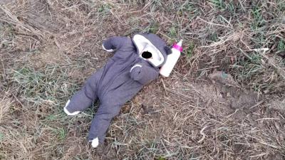 Un bebeluș de 6 luni a fost găsit pe un câmp la scurt timp după ce fusese abandonat 