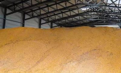 Polonia și Ungaria interzic importul de cereale din Ucraina