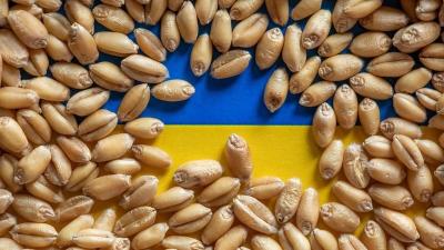 Slovacia suspendă importurile de cereale şi alte produse din Ucraina